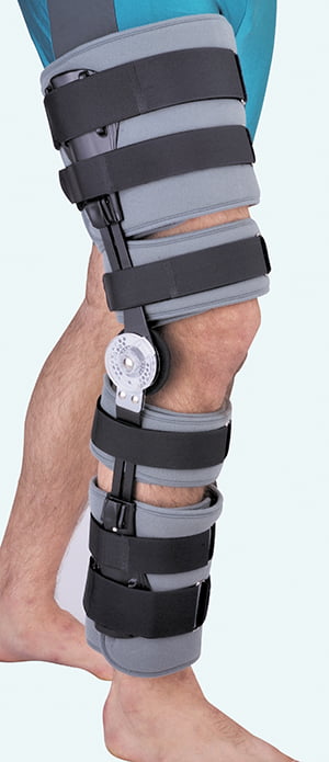 Hinged Knee Support