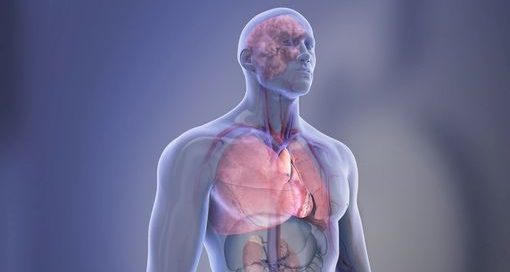 Quality of stent procedures consistently good across U.S. regardless of popular hospital ranking
