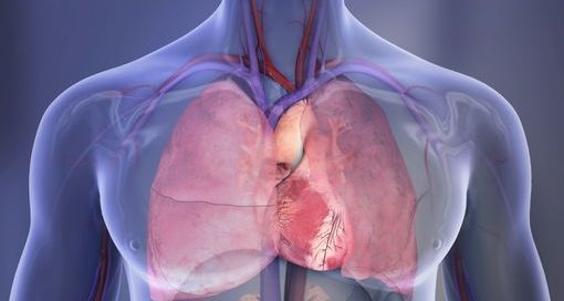 Unmarried heart patients face higher risk of death