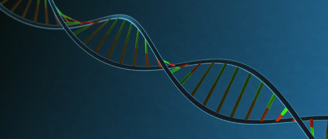 Multi-gene test predicts early heart disease risk