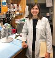 Mono-unsaturated fats from plants, not animals may reduce risk of death from heart disease and other causes
