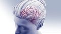 Depression linked to common heart rhythm disorder