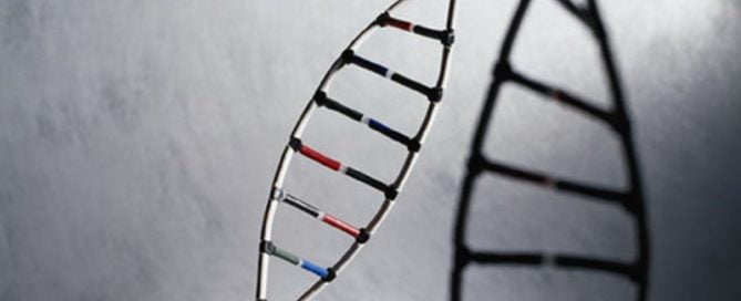 Major Project Completes Genetic ‘Map’ of 33 Cancers