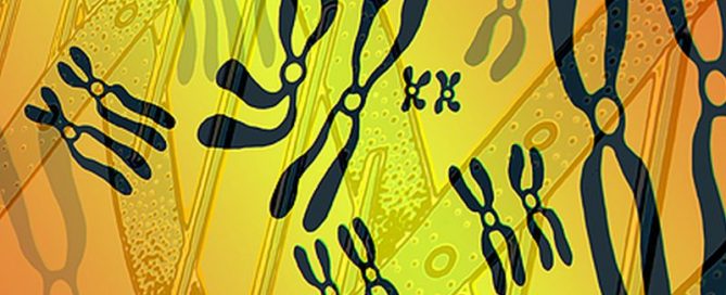 Busting Myths Surrounding Cancer and Genetic Testing