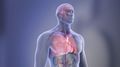 Wildfire smoke associated with more ER visits for heart, stroke ailments among seniors