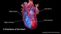 Wearable defibrillators may be an alternative to surgically implanted device for children with certain heart rhythm disorders
