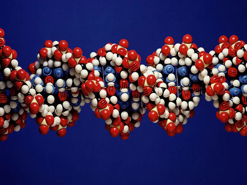 Most People Don’t Know if They Have Genetic Risk for Cancer