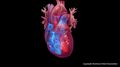 Complication of broken heart syndrome associated with both short- and long-term risk of death
