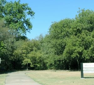 Neighborhoods with more green space may mean less heart disease
