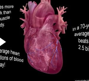 Hormone therapy may increase cardiovascular risk during