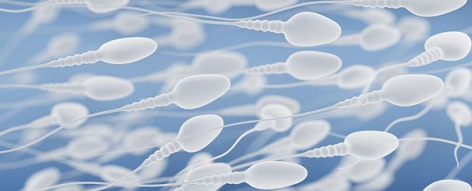 Testicular Cancer Treatment Doesn’t Always Doom Fertility