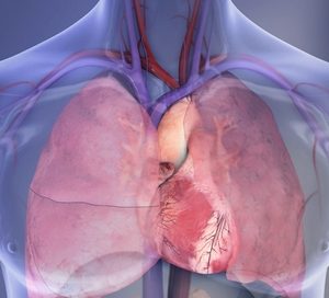 Heart attack victims over 65 treated differently; suffer worse outcomes but have lower hospital charges, new research finds