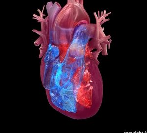 New Reports: Designer Betsy Johnson to undergo heart surgery; Mick Jagger recovering from TAVR procedure
