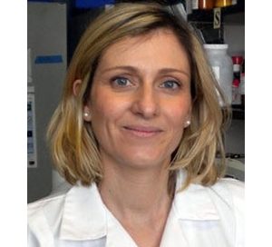 Plaque in arteries may not all be the same; targeting specific immune cells in plaque may reduce heart attack and stroke risk