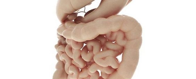Colon Cancer Rates Rising Among the Young in Wealthy Nations
