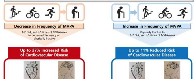 Top heart disease and stroke research advances in 2019