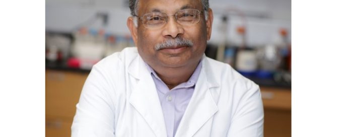 Specific gut bacteria may be associated with pulmonary arterial hypertension