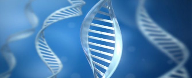 CRISPR Creates Immune Cells to Fight Cancer