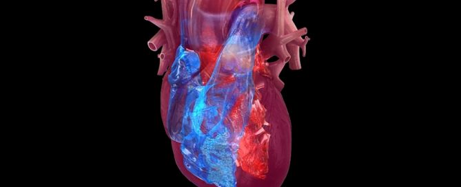 Better lifestyle habits are useful additions to optimize management of atrial fibrillation