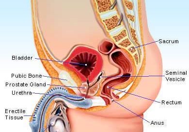 What Are the 5 Warning Signs of Prostate Cancer?