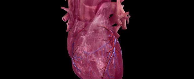 Artificial intelligence-enhanced ECGs may speed heart failure diagnosis and treatment