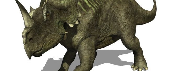 Aggressive Cancer Diagnosed for First Time in a Dinosaur