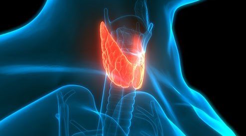What Happens to Your Body When You Have Thyroid Cancer?