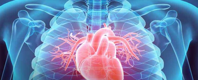 Immune-Boosting Cancer Treatment May Pose Cardiovascular Risk
