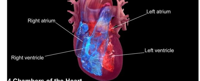 Heart disease awareness decline spotlights urgency to reach younger women and women of color