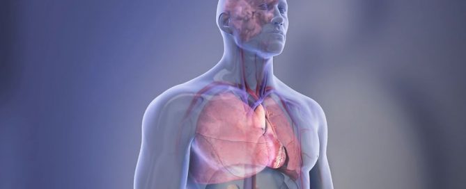 Newer heart valve replacement treatment increased in the U.S. in wealthy, metro areas