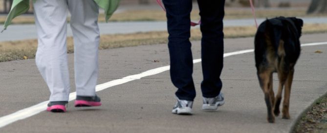 Less sedentary time reduces heart failure risk for older women