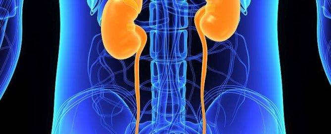 Drug Improves Survival for Rare, Deadly Kidney Cancer