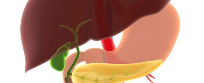 Know the Signs of Rare But Deadly Gall Bladder, Bile Duct Cancers