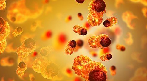 How Can Cancer Be Diagnosed? Tests to Detect Cancer