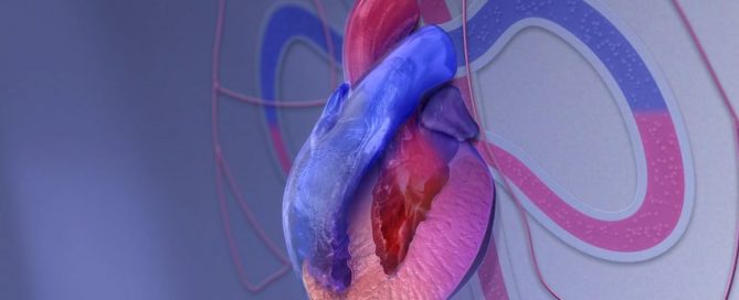 Teens knowing results of their cardiomyopathy genetic tests may improve family function