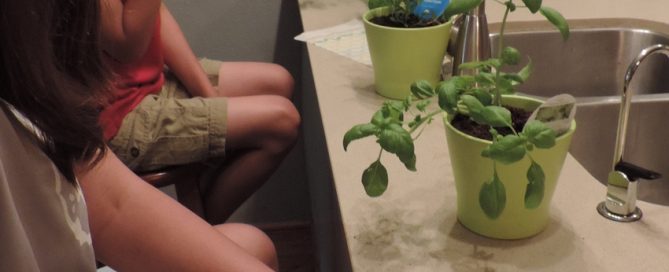 5 lifestyle tips for a healthy fall