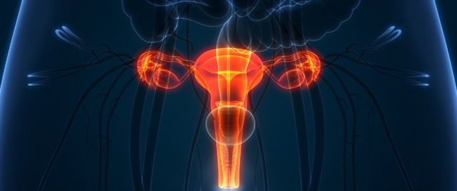 How Can You Prevent Peritoneal Cancer? Healthy Lifestyle Choices