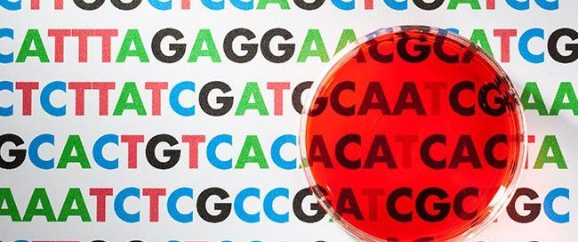 What Is Genomic Tumor Testing? Test Chart, Cancer Care