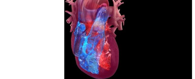 Quality of care initiative seeks to improve outcomes for heart valve patients