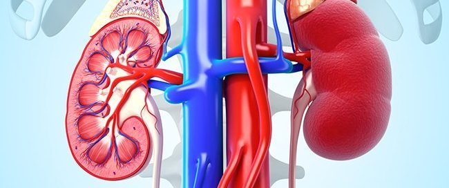 What Is the Most Common Type of Renal Cell Carcinoma? Prognosis